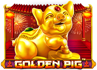 Golden Pig