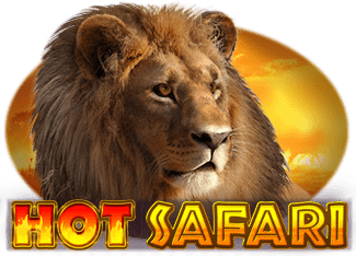 Hot Safari